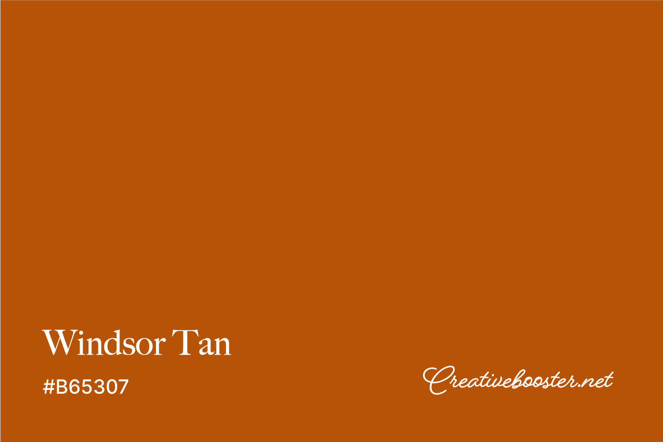 windsor-tan-color-with-name-and-hex-code-#B65307