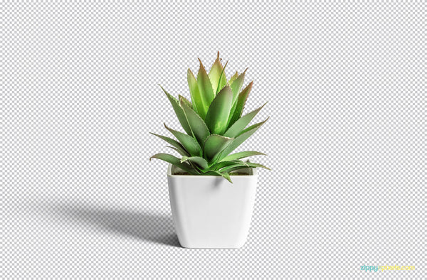 Download Free Flower Pot Mockup Creativebooster