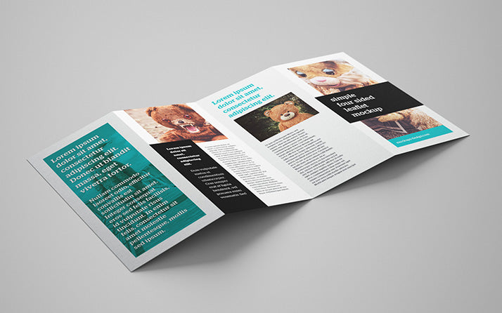 Download Free 4 Panel Leaflet Brochure Mockup 5 Angles Or Views Creativebooster