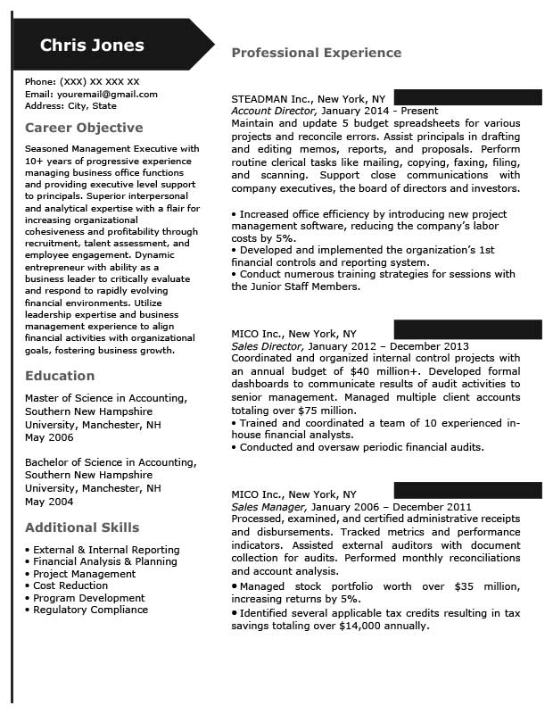 Internal Job Resume Template from cdn.shopify.com