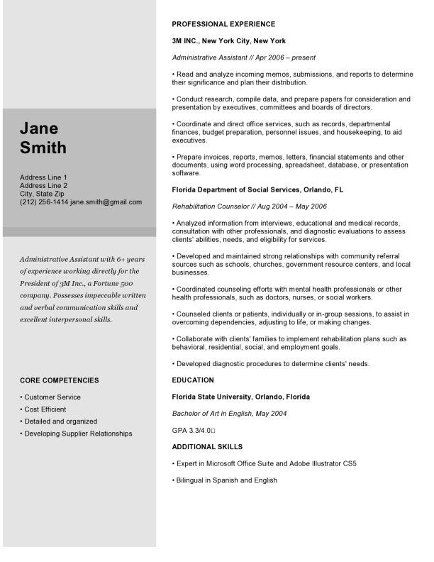 Professional Cv Template Free Download Word Format