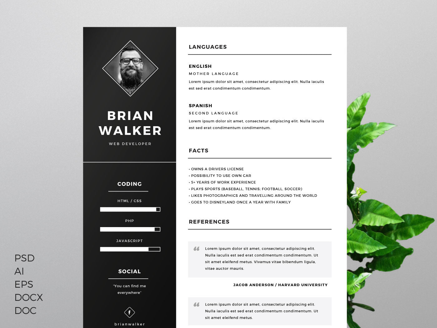 cv template photoshop download