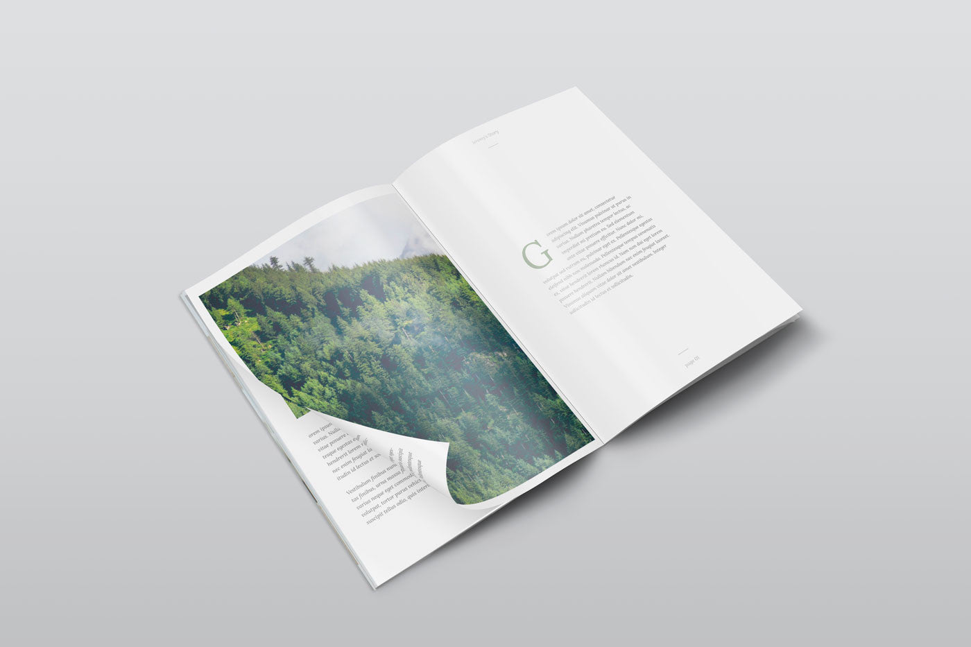 Download Free A4 Psd Magazine Mockup Isometric View Creativebooster