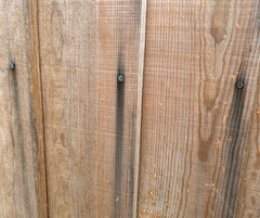 A featheredge Fence Panel with Nails in that have bled and leaked down the timber.