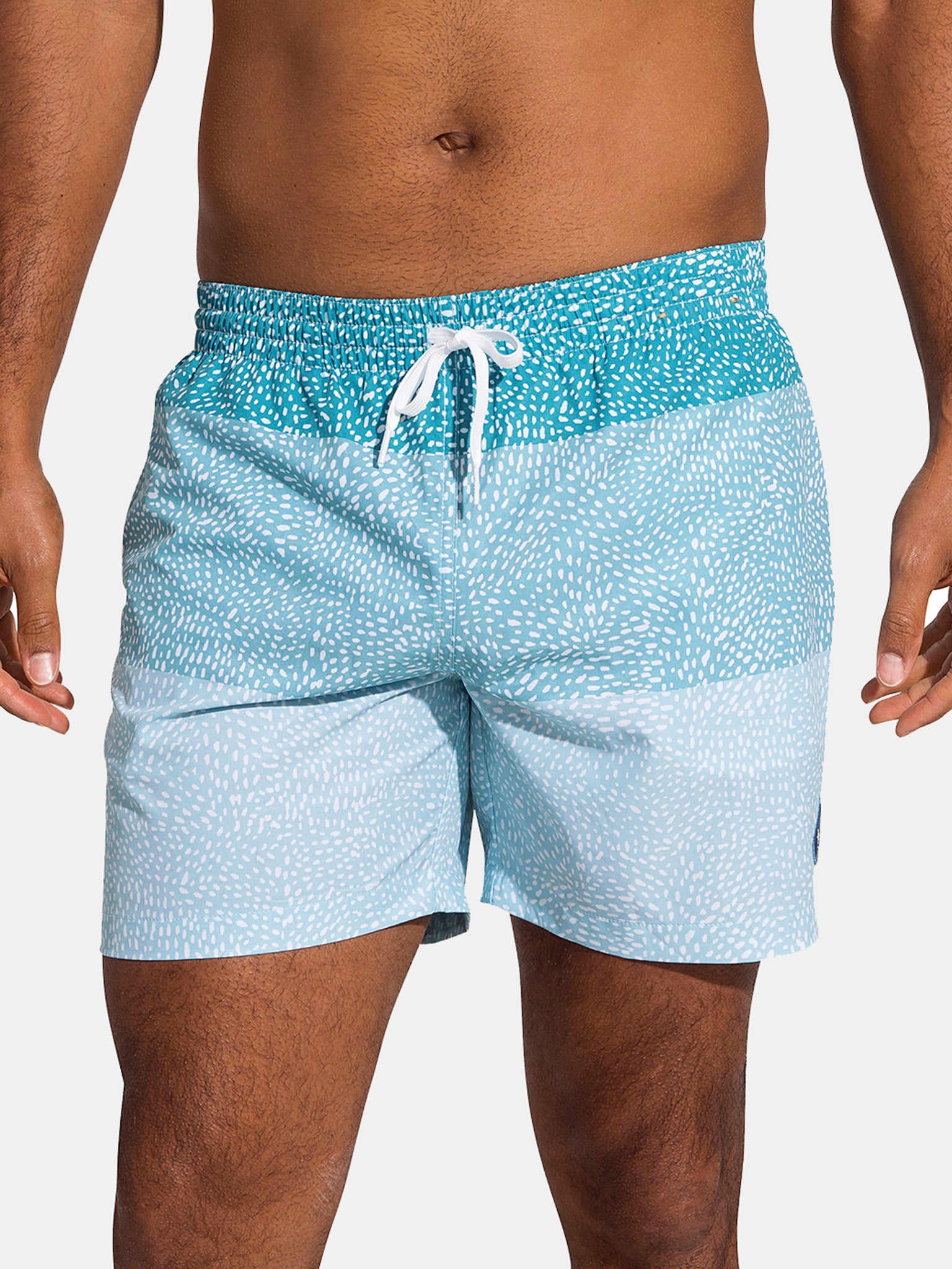 mens 5.5 swim trunks