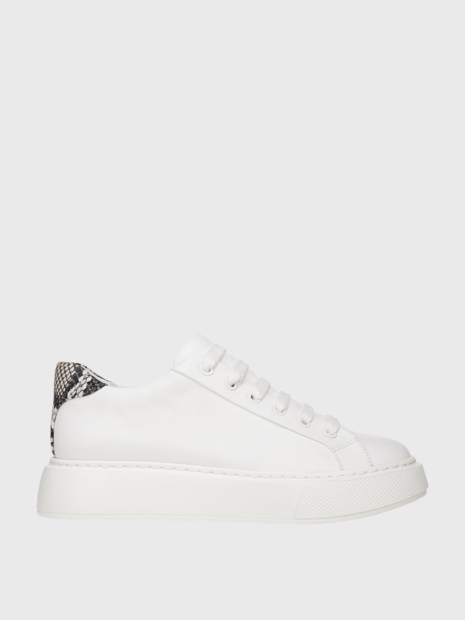 vince white sneaker