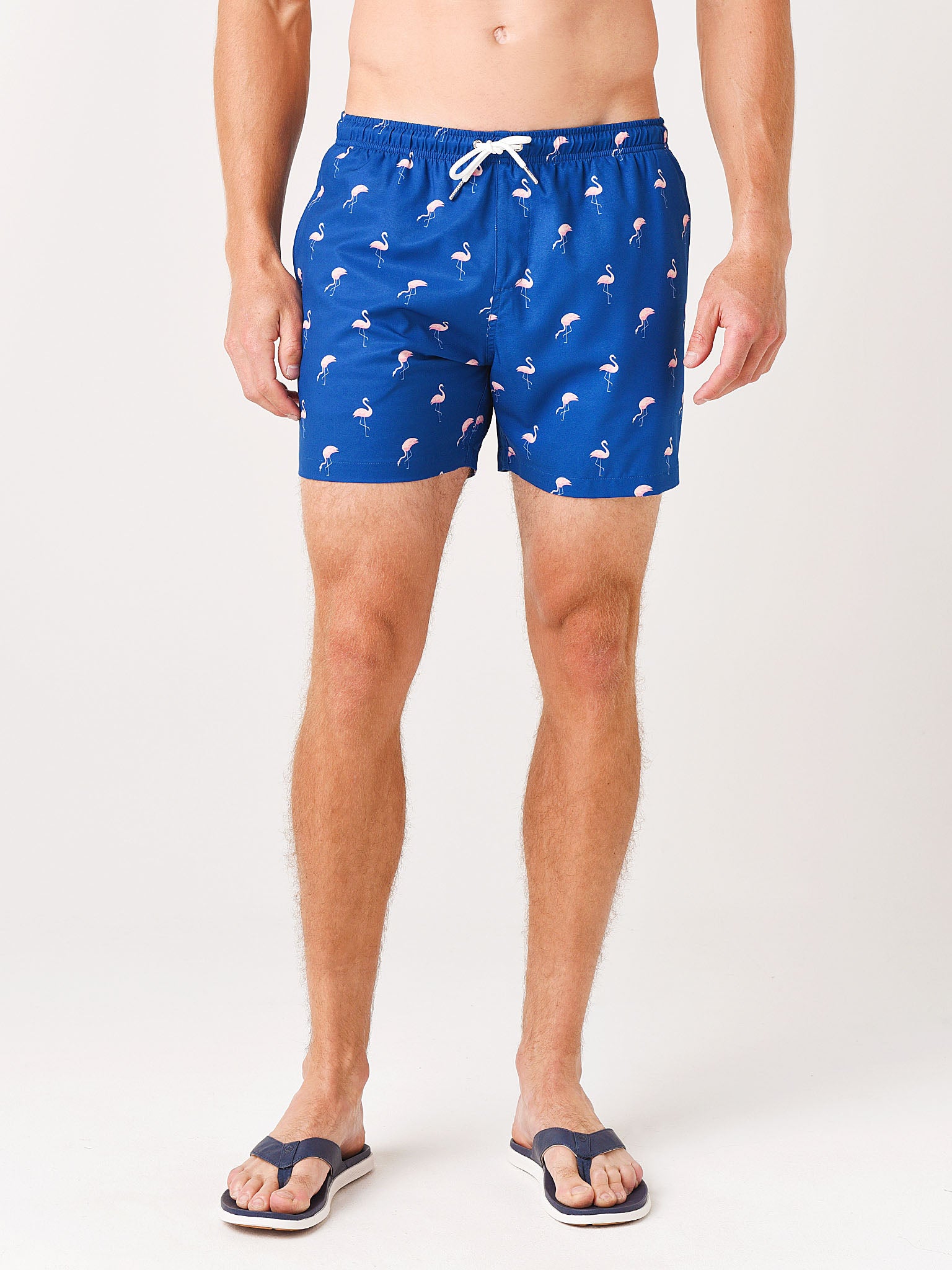 Bermies Men's Miami Classics Swim Trunk - Saint Bernard