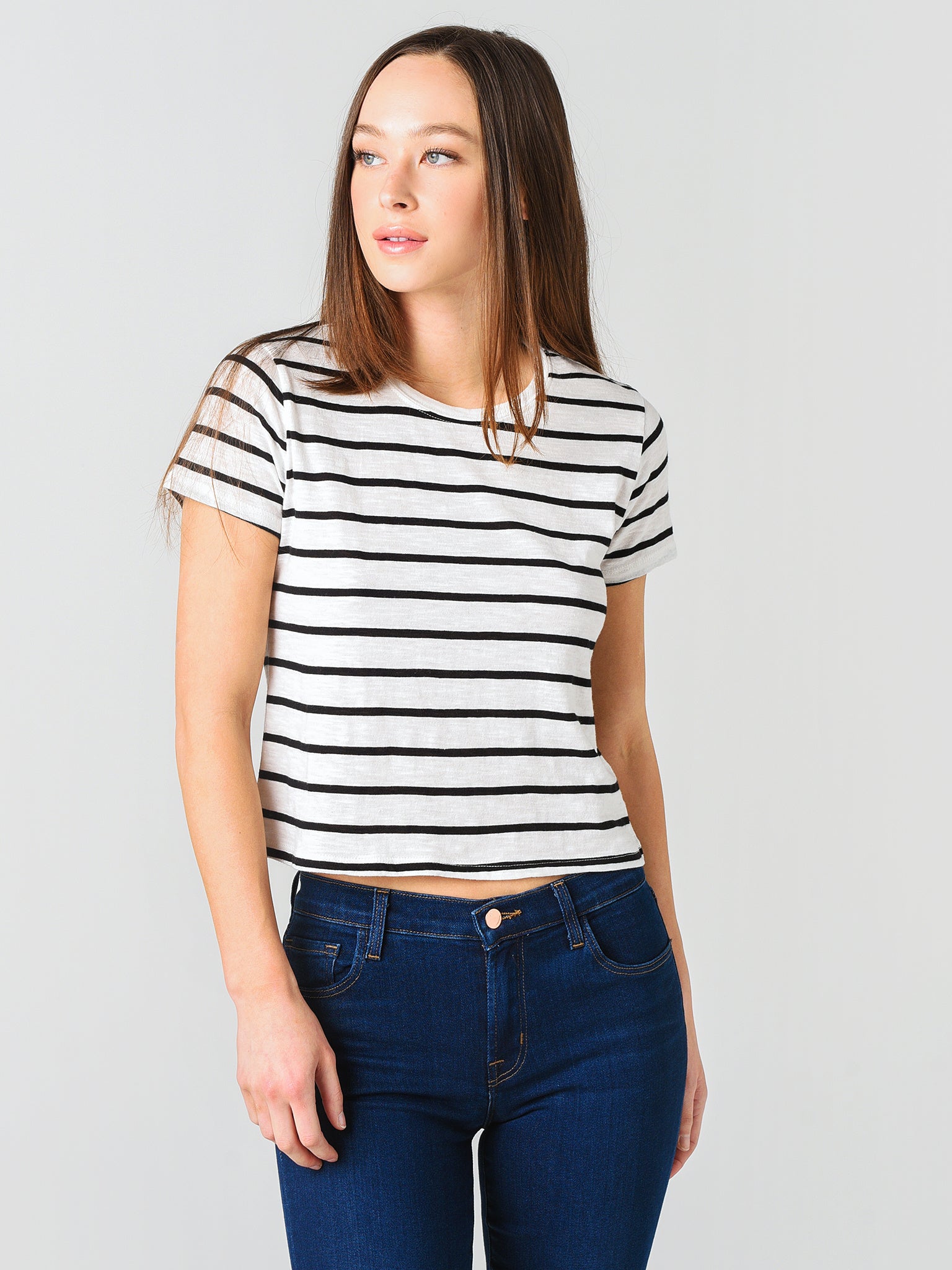 Z Supply The Desert Stripe Baby Tee - Saint Bernard