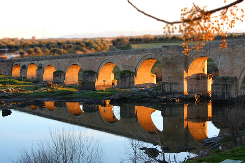  El Puente del Arzobispo Blue Flor Ceramic Sangria