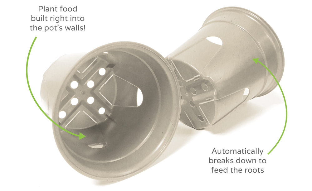 The SelfEco Pot is made from starchy renewable plants like corn, switch grass, and sugar beets grown right here in the U.S.