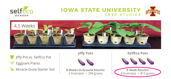 Iowa State University Growth Comparison Case Studies