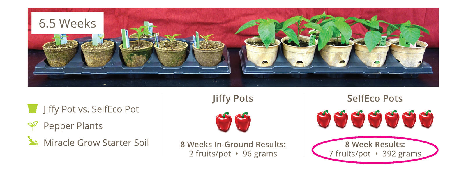 SelfEco Garden Results Sheet: Iowa State University Growth Comparison 2