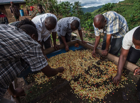 Farmers in Uganda