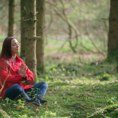 meditation in the forest