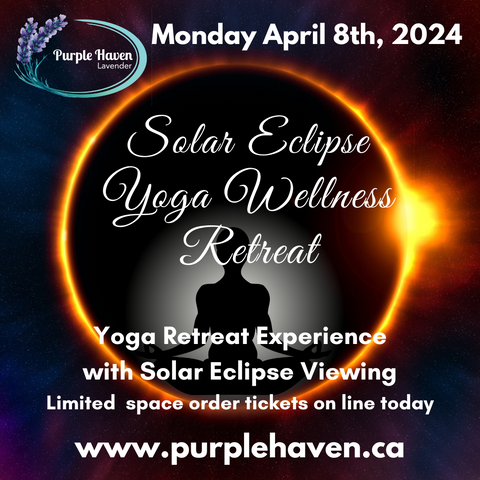 Solar Eclipse Yoga Wellness Retreat