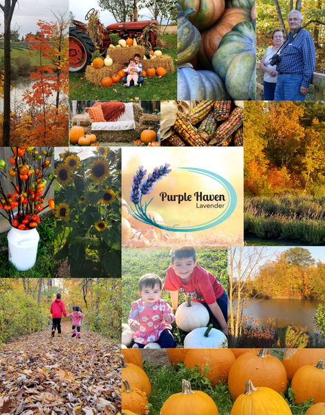 collage of fall farm photos