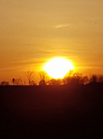 Sunset on the farm