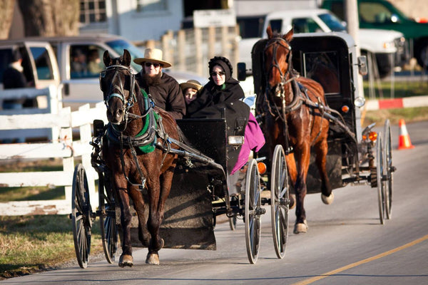 Amish health beliefs and immunity