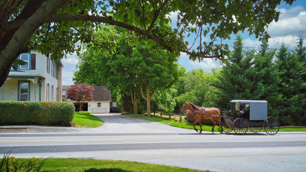 mennonite vs amish dress