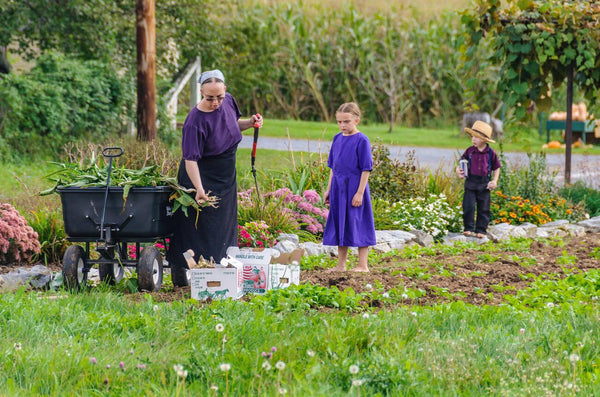 where do the amish live