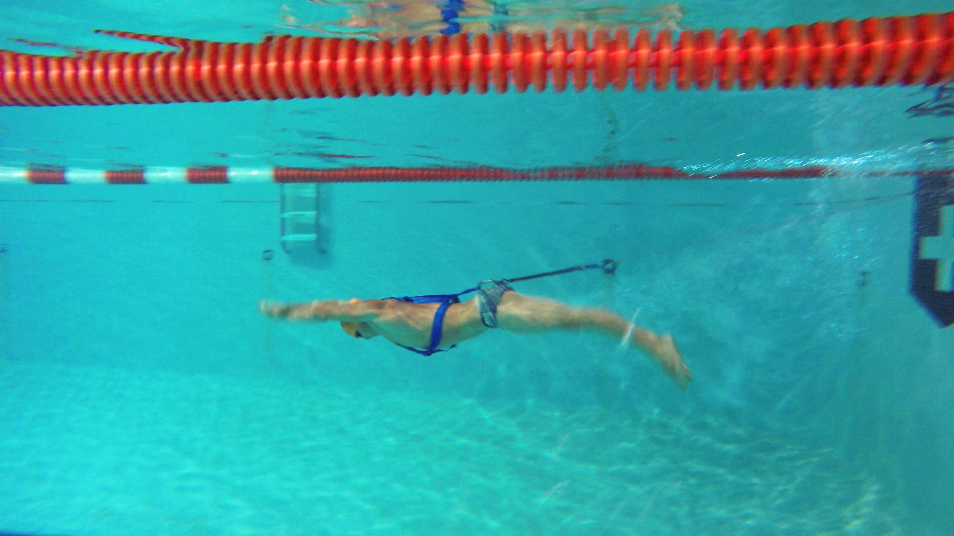 Swimming Harness Drive with your Shoulders