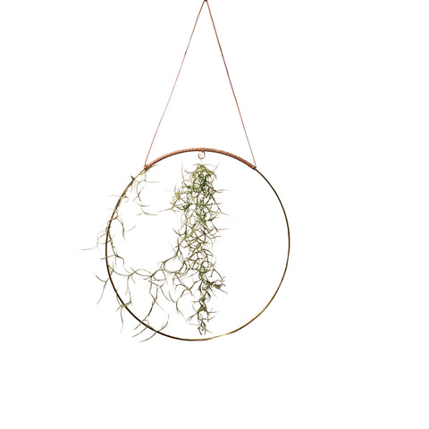 Planteplaneter