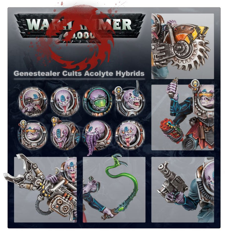 Warhammer 40K: Start Collecting Genestealer Cults