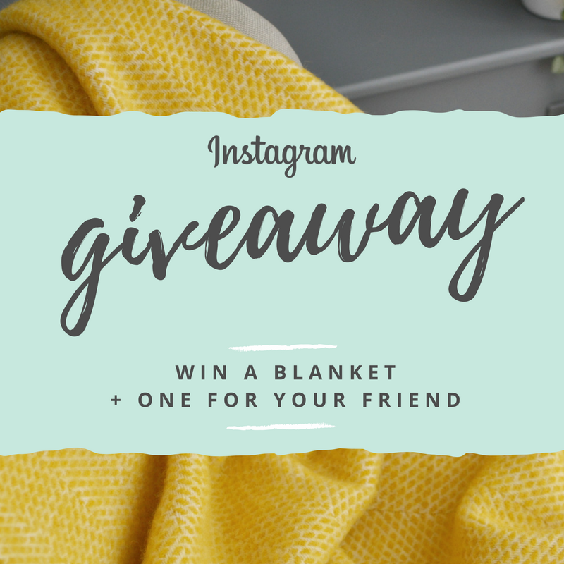 the british blanket company instagram giveaway