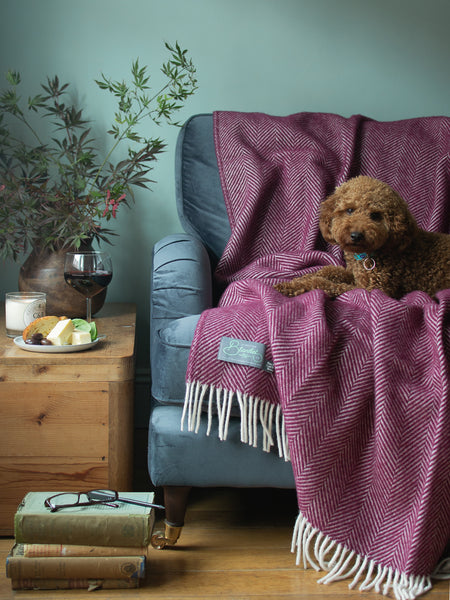 burgundy wool blanket throw or sofa throw The British Blanket Company