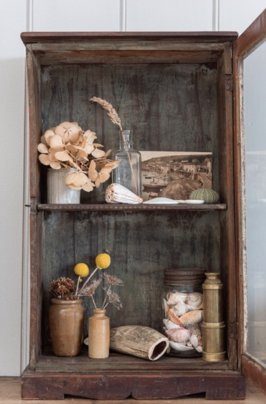found objects nature display case