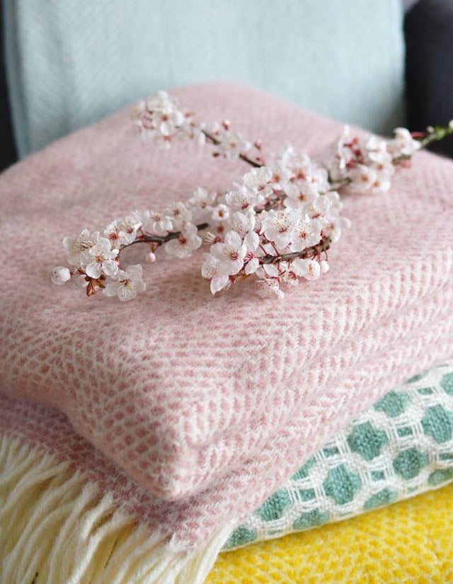 how to keep cut blossom fresh The British Blanket Company