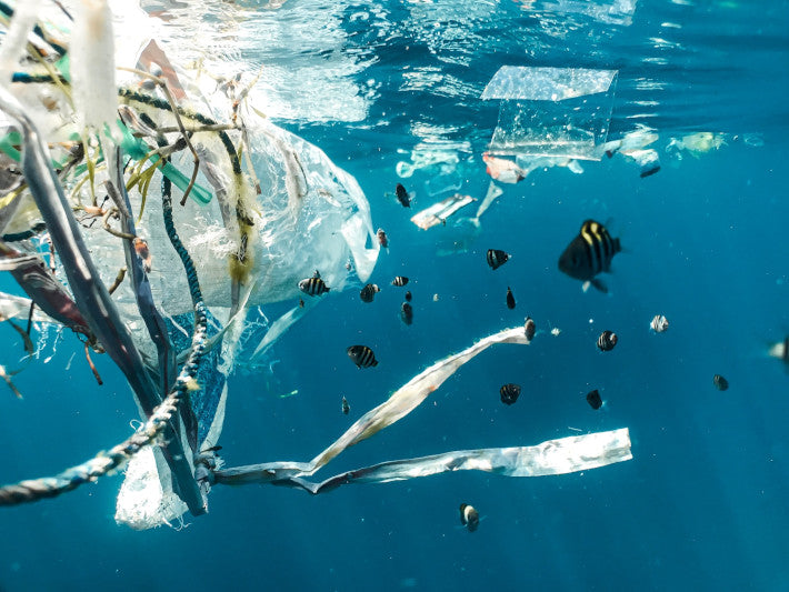 ocean plastics harm marine life with microplastics and plastic bottles