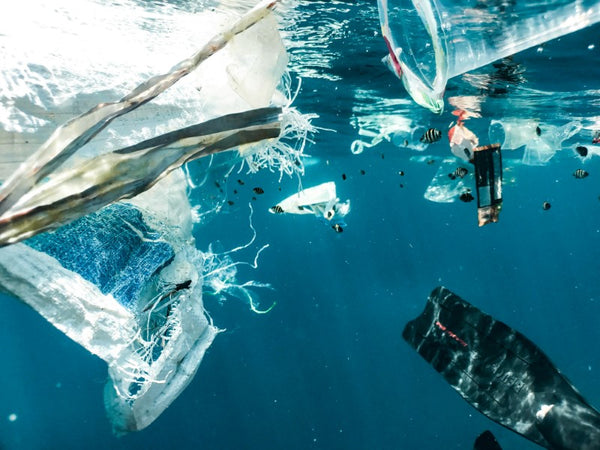plastic pollution in the sea