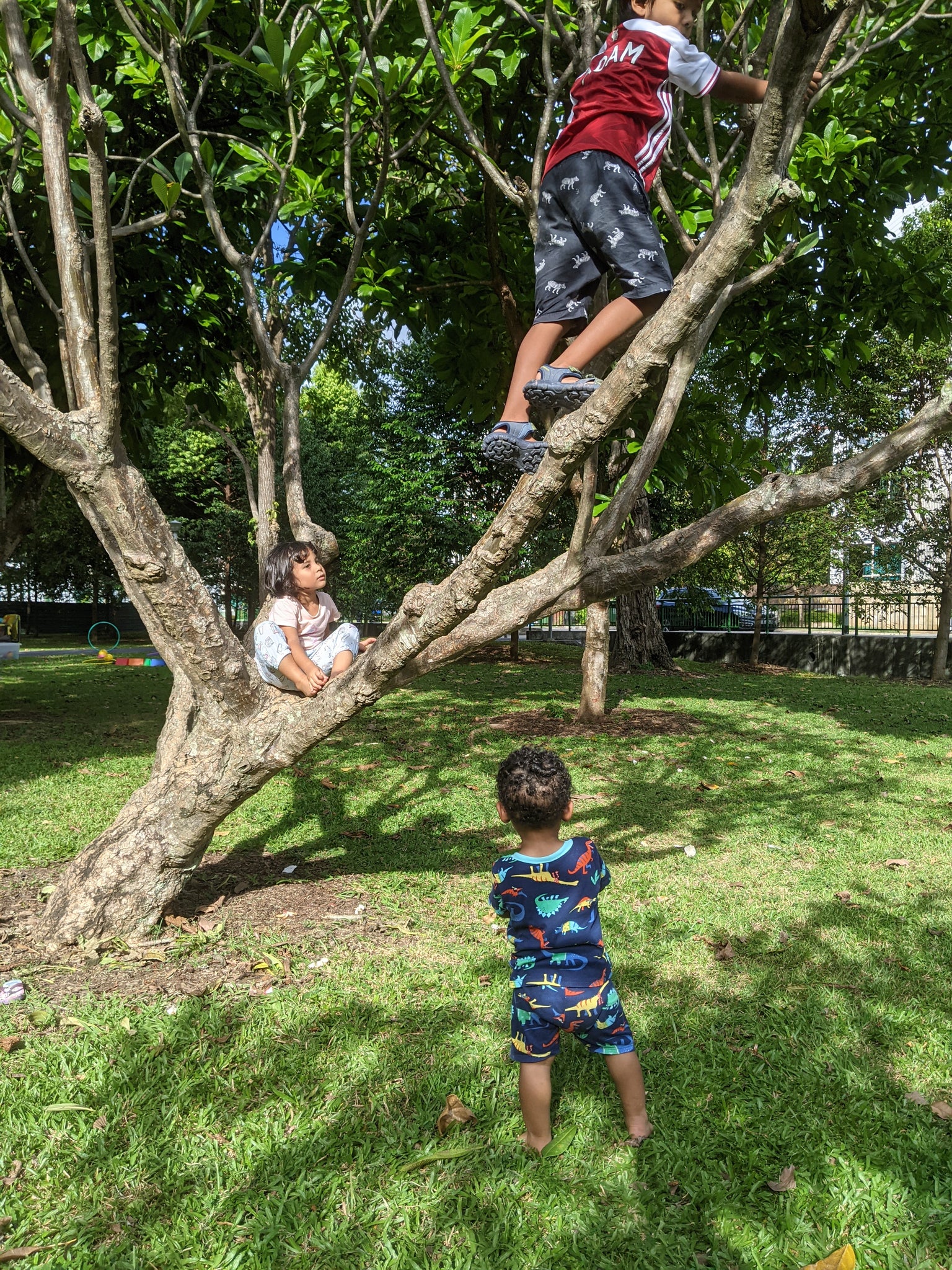 telok kurau park