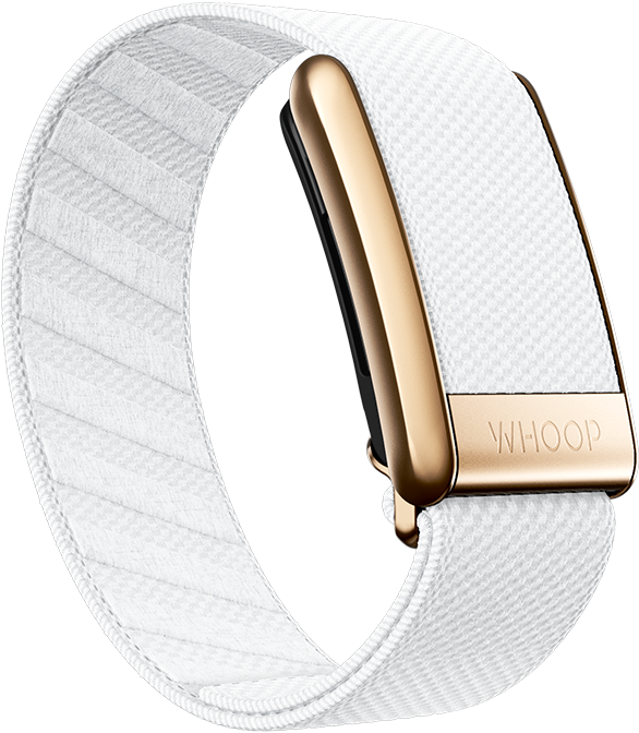 Crystal Luxe Band  WHOOP - The World's Most Powerful Fitness Membership