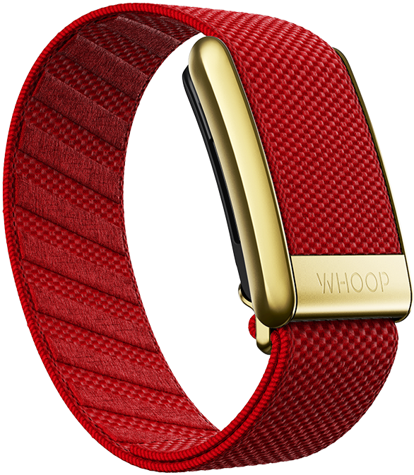 Crystal Luxe Band  WHOOP - The World's Most Powerful Fitness Membership