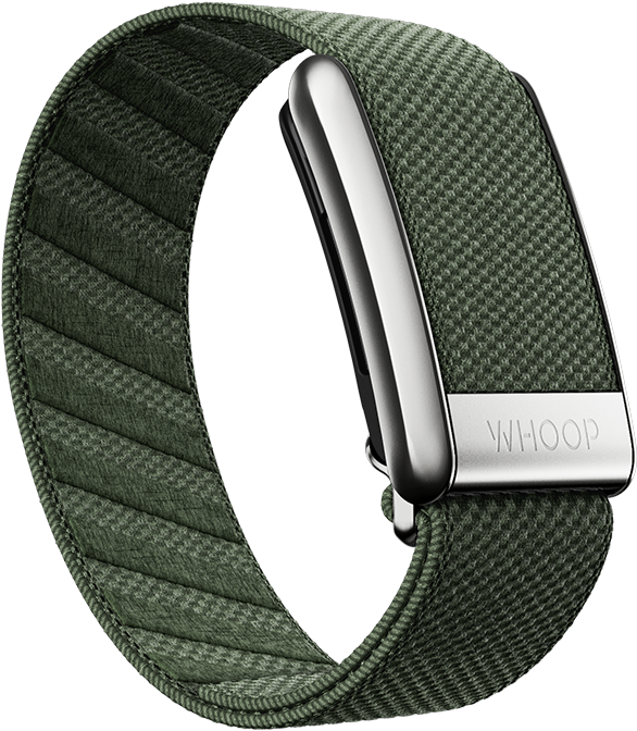 Crystal Luxe Band  WHOOP - The World's Most Powerful Fitness Membership