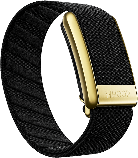 Crystal Luxe Band  WHOOP - The World's Most Powerful Fitness Membership