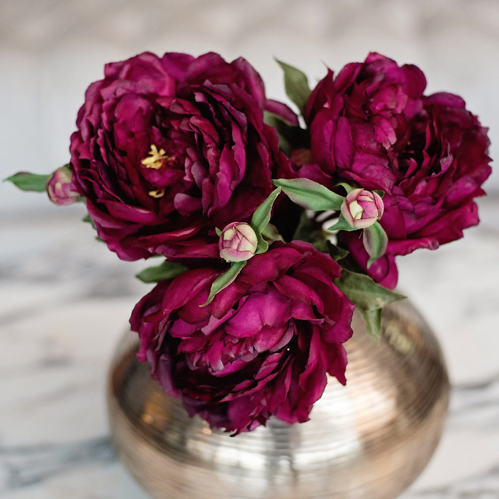 Burgundy Classic Peony Amaranthine Blooms Amaranthine Blooms Uk