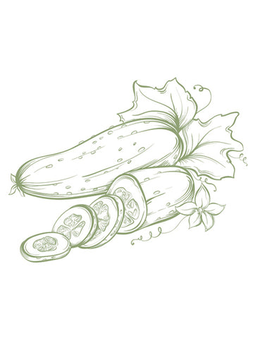  Cucumber Seed OIl