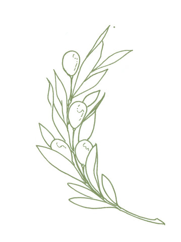 Olive Leaf Extract