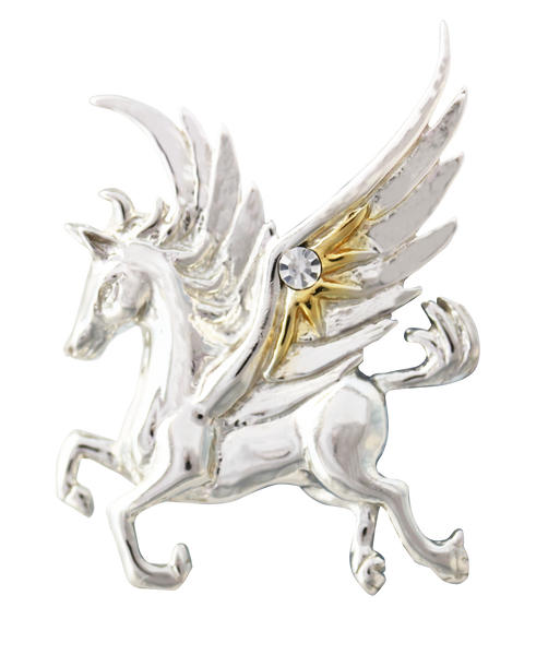 COM12 - Pegasus of the Stars for Quick Thought & Creativity by Anne ...