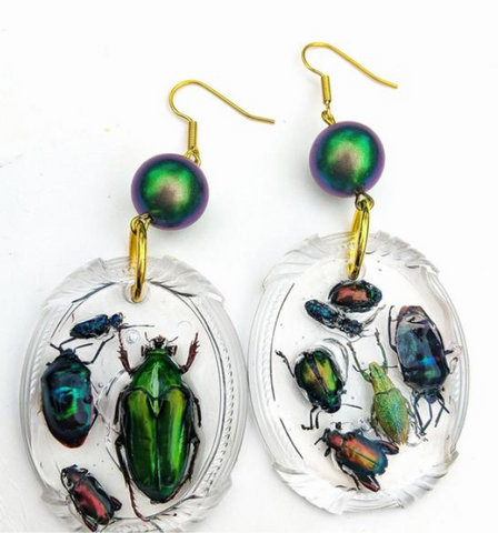 Sugar Gay Isber bug collection earrings jewelry 