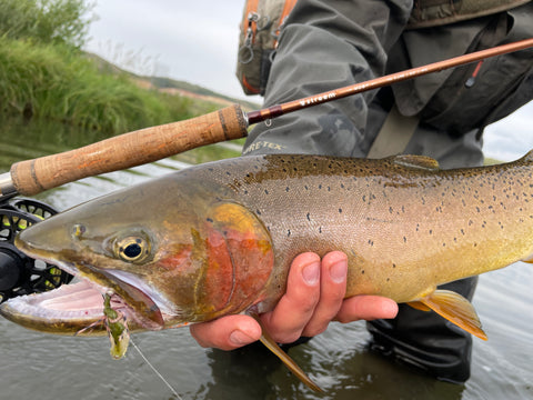 Moby Series Fly Rod – Streem Outdoors