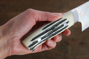 Takeshi Saji Blue Steel No.2 Colored Damascus Gyuto Japanese Knife 240mm White Cow Bone Handle - Japanny - Best Japanese Knife