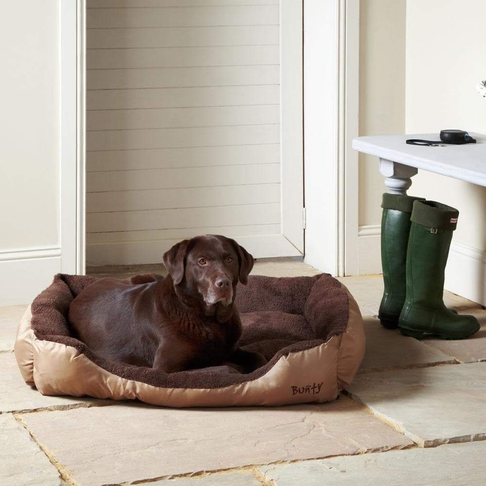 bunty elevated sided dog bed