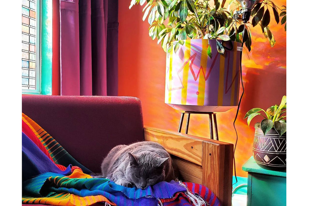 A brightly coloured room with a cat sleeping on a sofa. Image credit: India Shannon @justlikethecountry