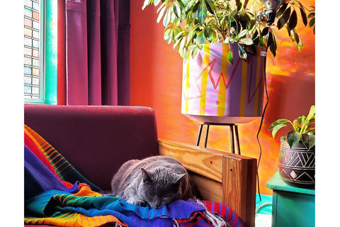 Dopamine Decor! A cat sleeps happily on a sofa in a colourful living room. Image credit : @justlikethecountry