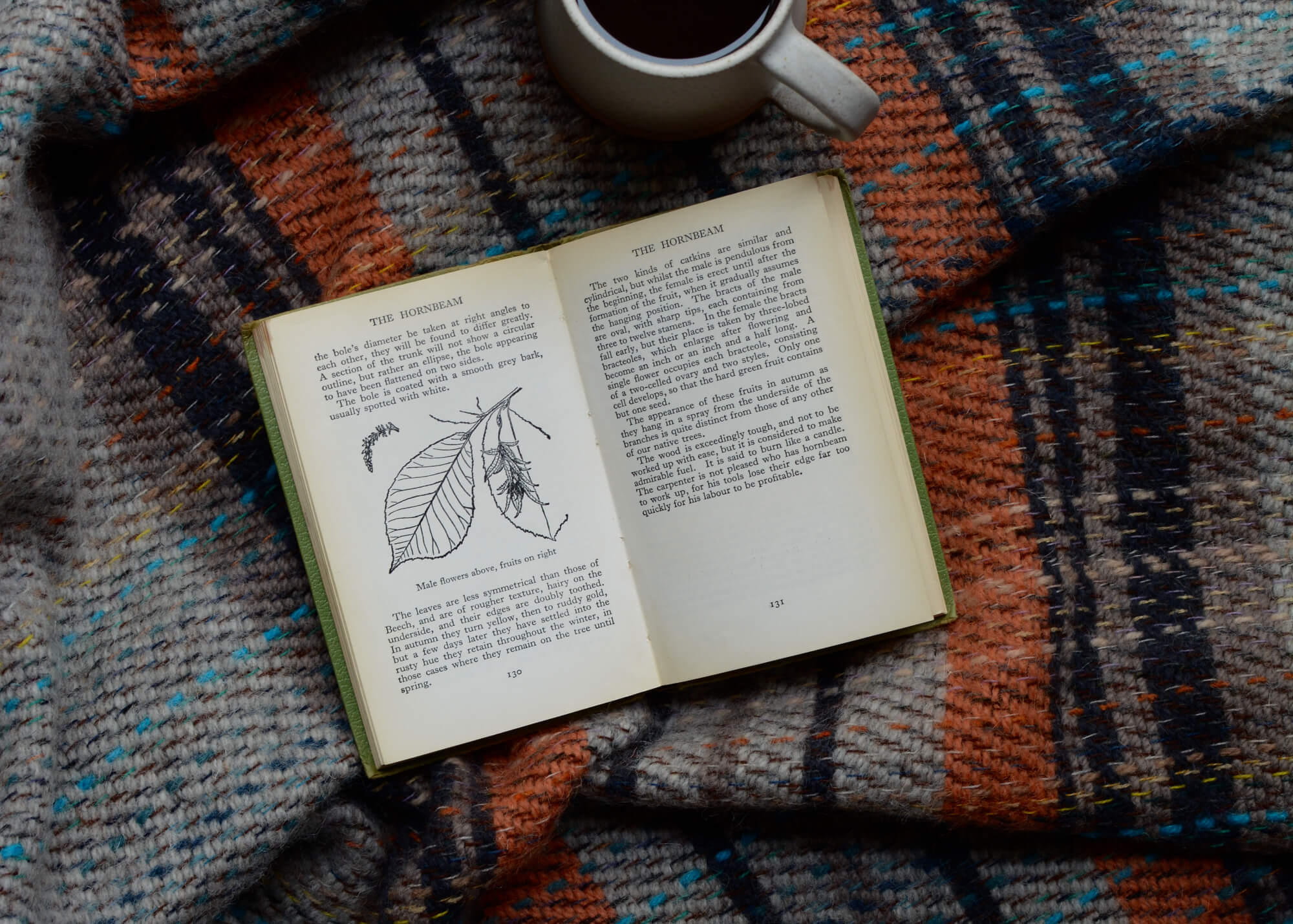 recycled wool throw in a check pattern, with an open book and ceramic coffee cup to the side