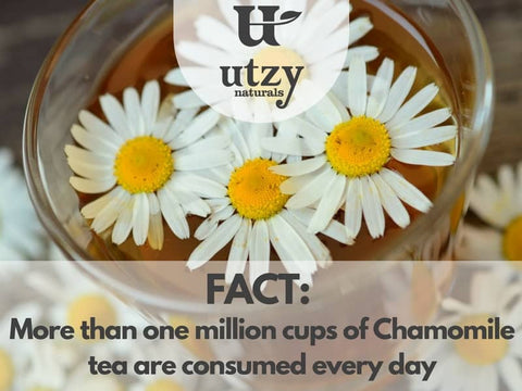 German Chamomile Tea